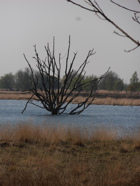 Gezond Boeren Verstand Dalerveen Eksteriør bilde